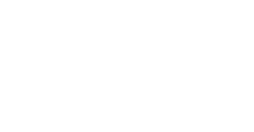 Veerplas Festival logo